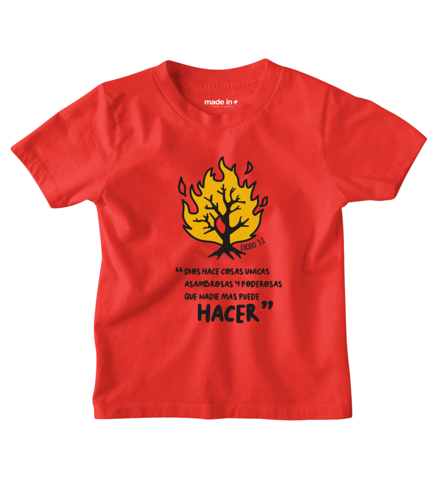 HACER - Image 4