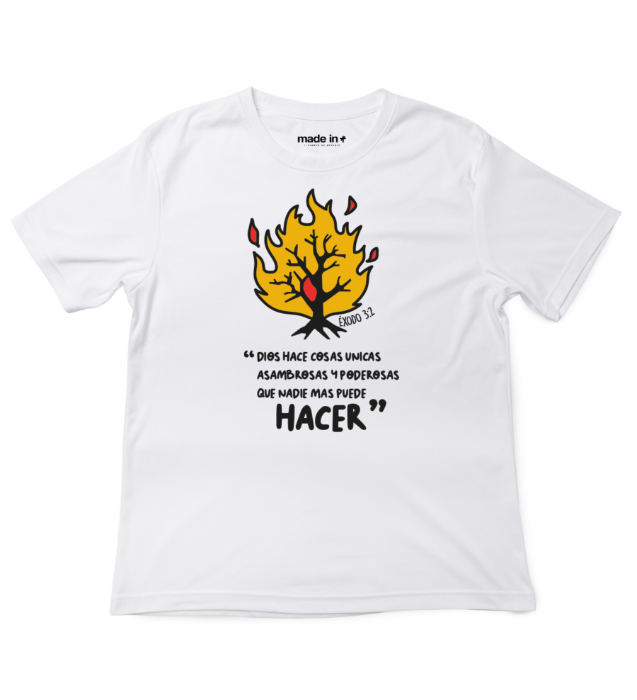 HACER - Image 3