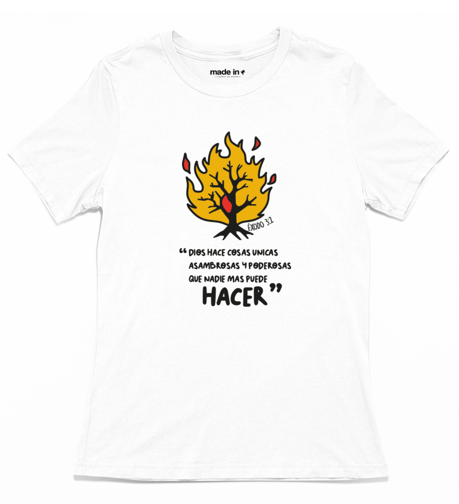 HACER - Image 3