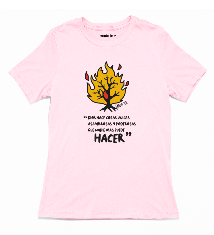 HACER - Image 5