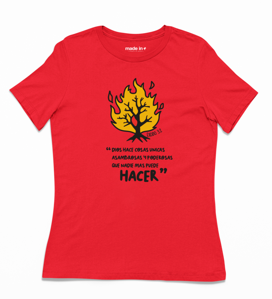 HACER - Image 4