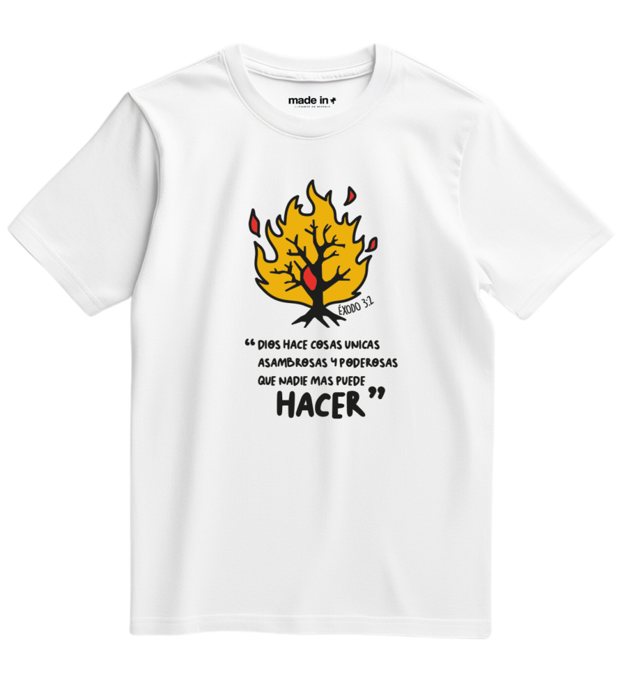 HACER - Image 3