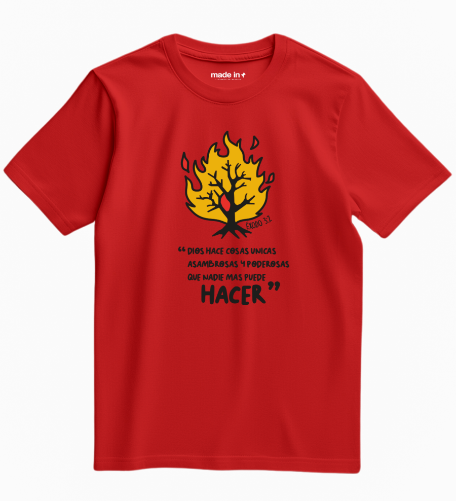 HACER - Image 4